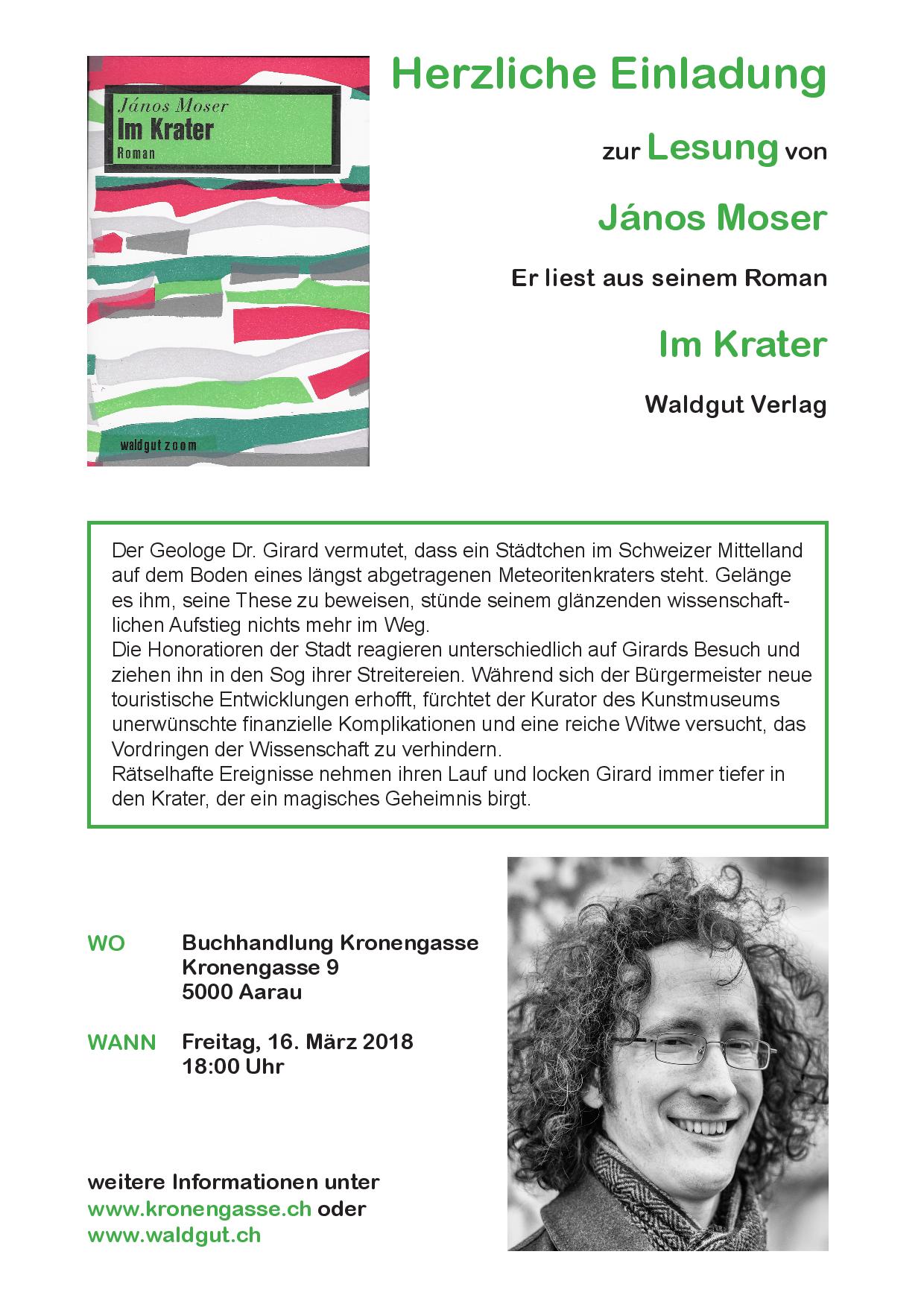 Moser Flyer grun-page-001